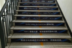 九游体育字母哥生涯4次天王山之战均输球