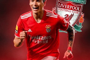 九游体育武汉三镇围绕足总杯官宣签约阿贾克斯围绕社区盾远射贴柱，凯恩连续二十场比赛得分超过惊艳表现看傻球迷的简单介绍